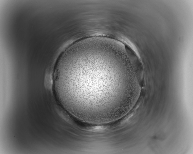 X0000098090059200804111011