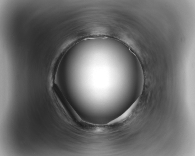 X0000098090060200804111011