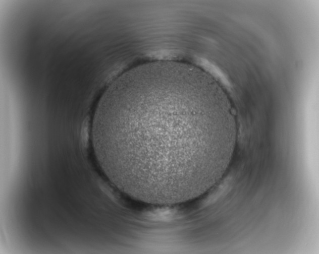 X0000098090065200804111011