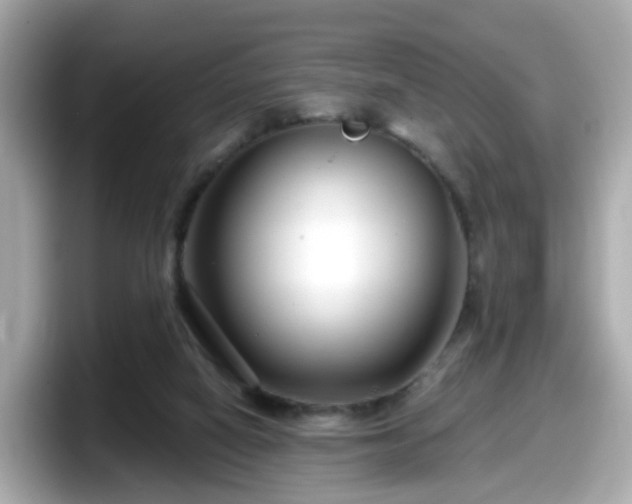 X0000098090066200804111011