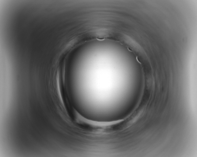X0000098090072200804111011
