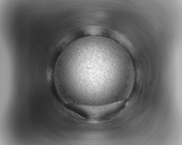 X0000098090073200804111011