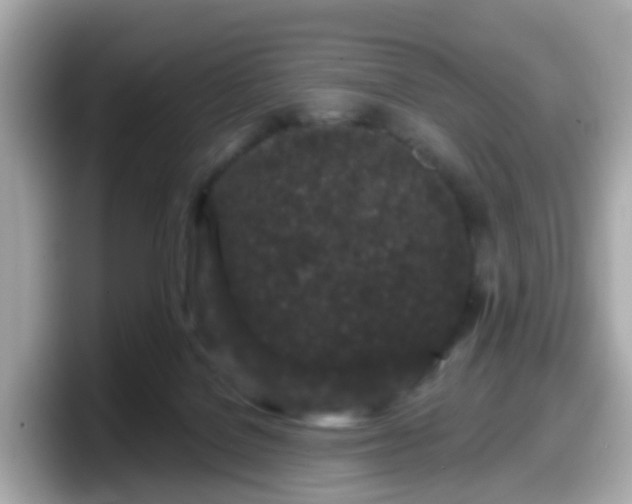 X0000098090076200804111011