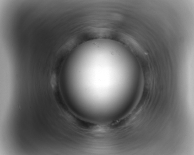 X0000098090077200804111011