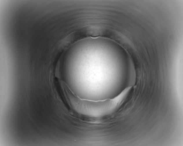 X0000098090080200804111011
