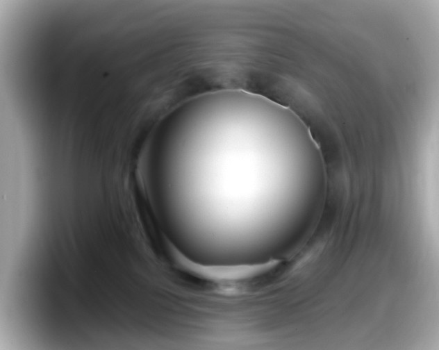 X0000098090088200804111011