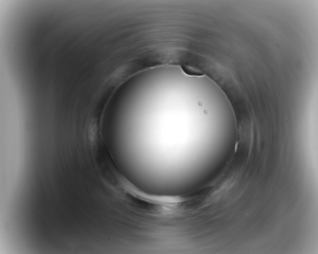 X0000098090092200804111011