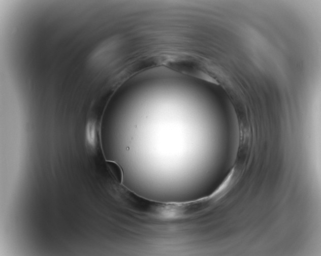 X0000098090094200804111011