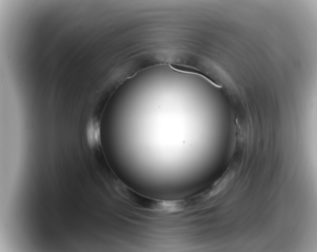 X0000098090095200804111011