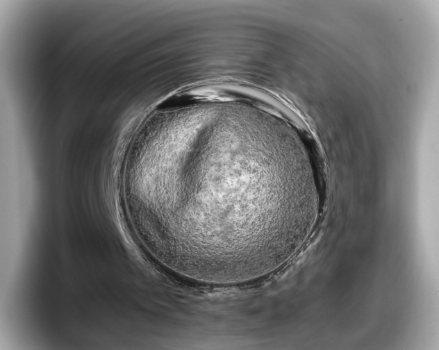 X0000098090097200804111011