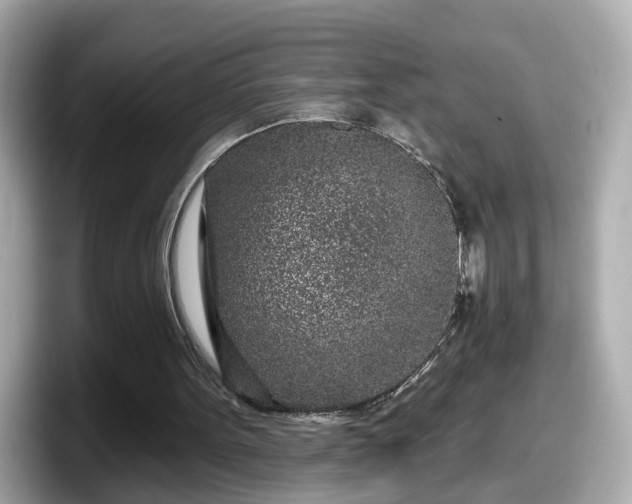 X0000098090099200804111011