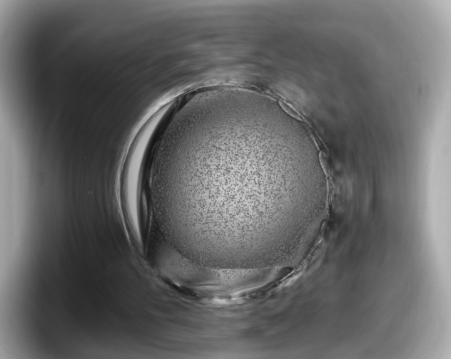 X0000098090100200804111011