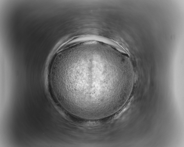 X0000098090101200804111011
