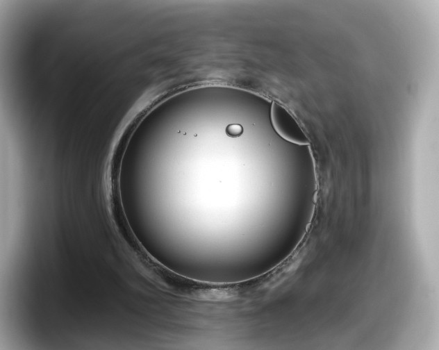 X0000098090102200804111011