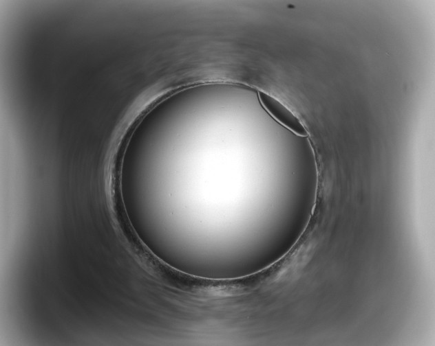X0000098090103200804111011