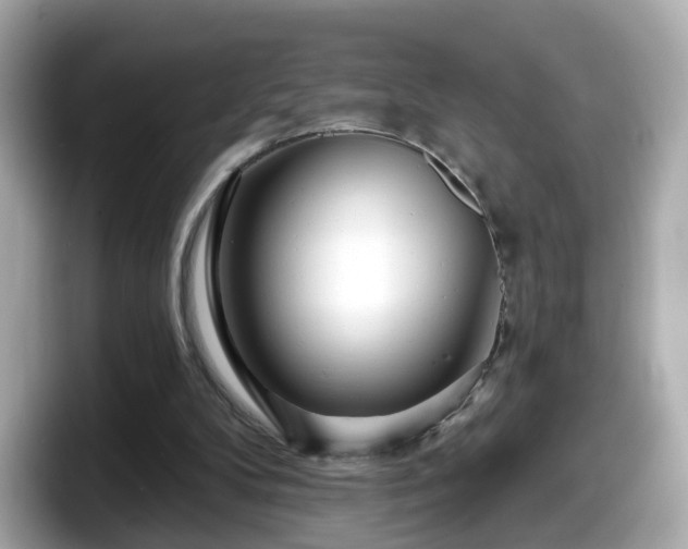 X0000098090104200804111010