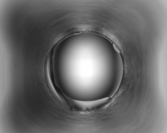 X0000098090105200804111010