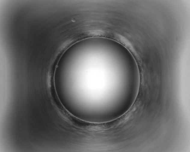 X0000098090106200804111010