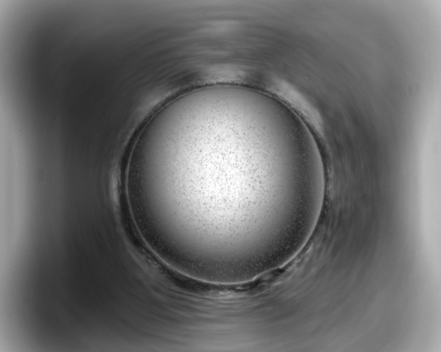 X0000098090107200804111010