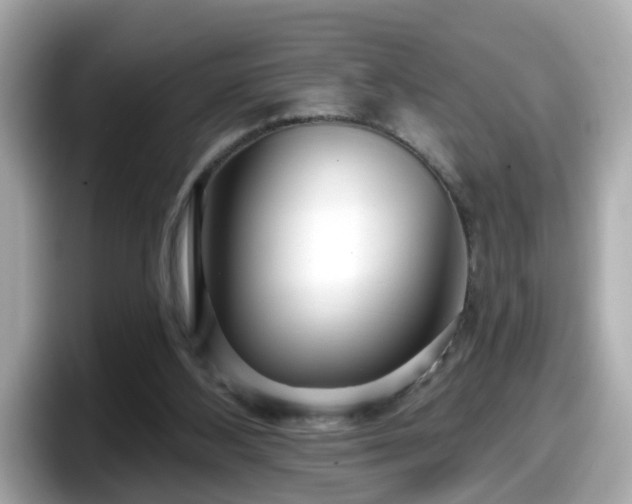 X0000098090108200804111010