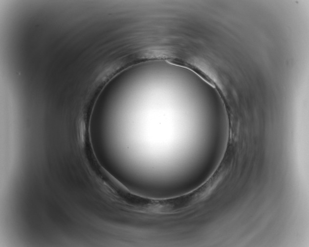 X0000098090109200804111010