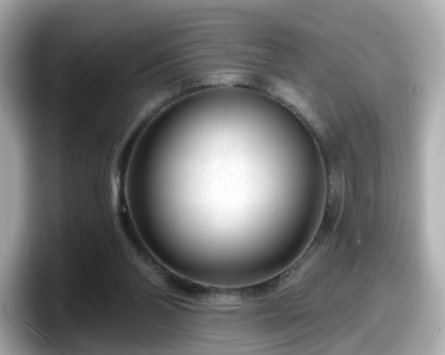 X0000098090110200804111010
