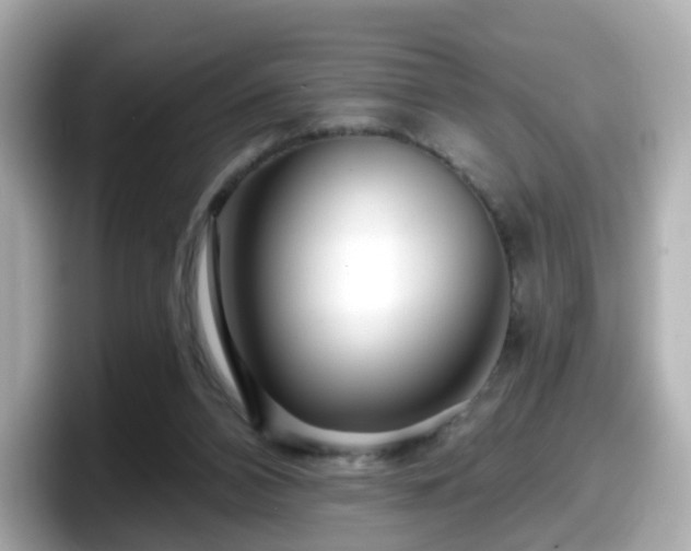 X0000098090112200804111010