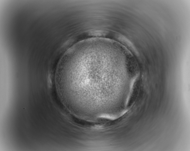 X0000098090114200804111010