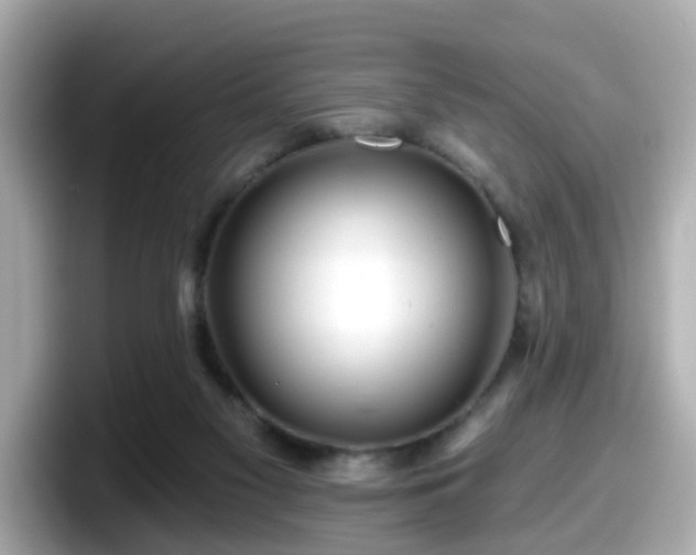 X0000098090117200804111010