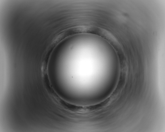 X0000098090119200804111010