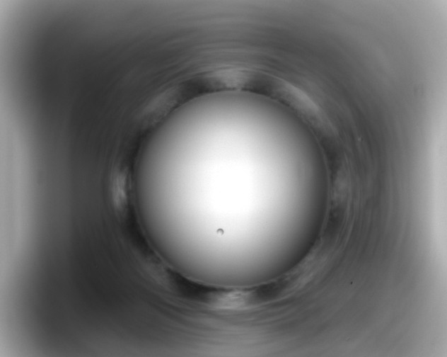 X0000098090122200804111010
