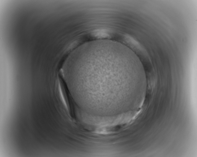 X0000098090124200804111010