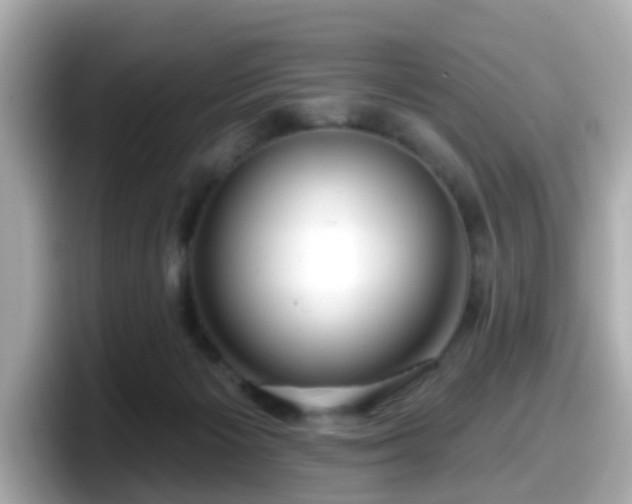 X0000098090125200804111010