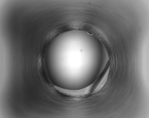 X0000098090128200804111010