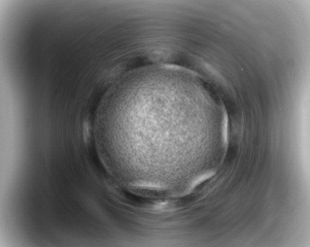 X0000098090130200804111010