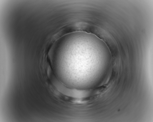 X0000098090137200804111010