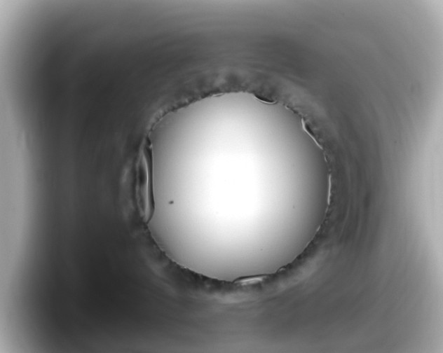 X0000098090144200804111010