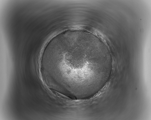 X0000098090145200804111009