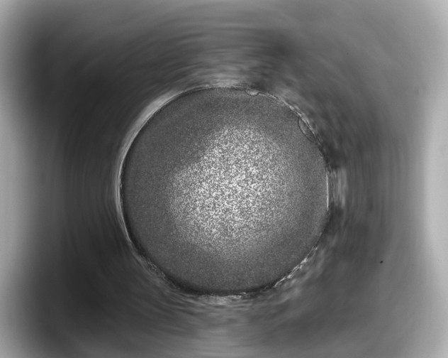 X0000098090147200804111009
