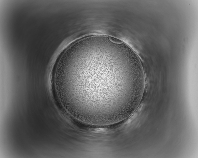 X0000098090151200804111009