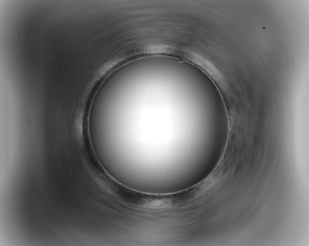 X0000098090155200804111009