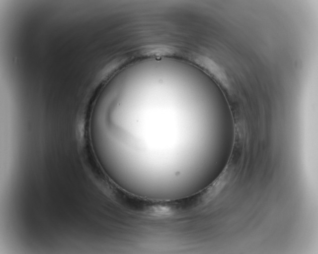 X0000098090159200804111010