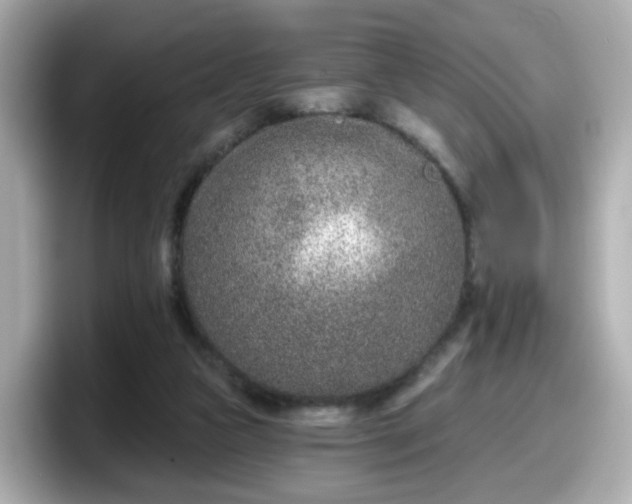 X0000098090161200804111010
