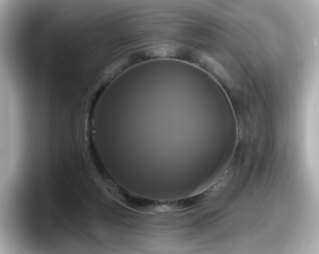 X0000098090163200804111010