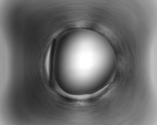 X0000098090164200804111010