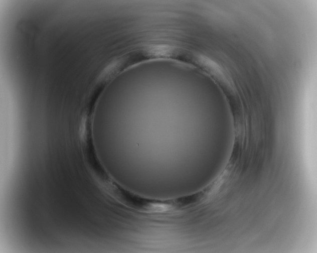 X0000098090167200804111010