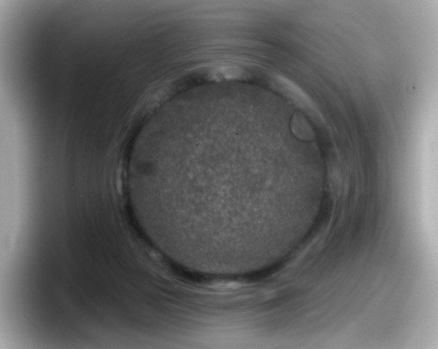 X0000098090169200804111010