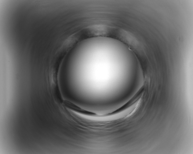 X0000098090170200804111010