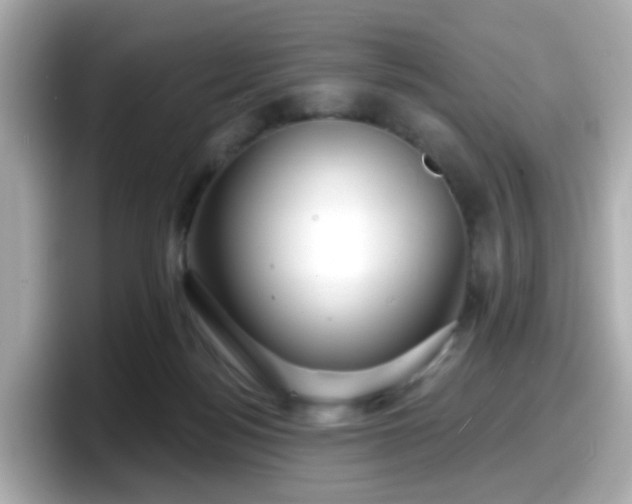 X0000098090172200804111010