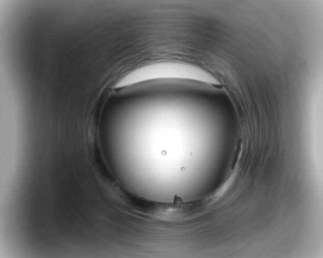 X0000098090174200804111010